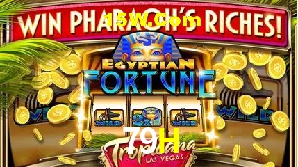 Experiência VIP 79H